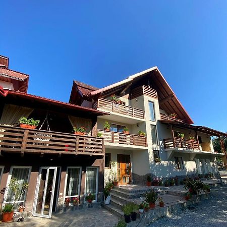 Vila Sorina Borşa المظهر الخارجي الصورة