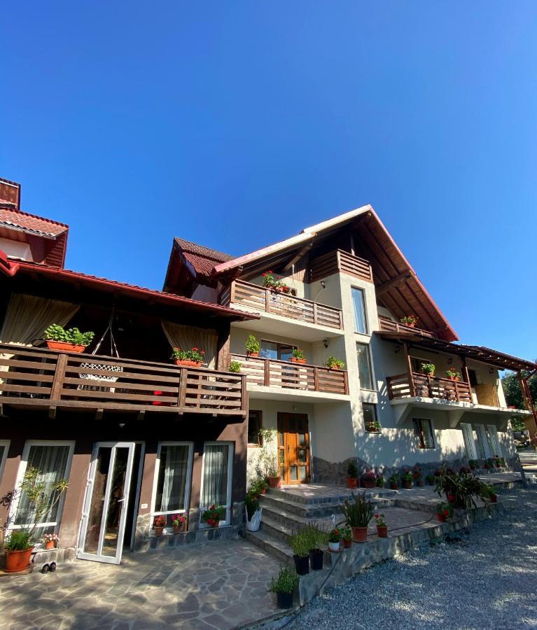 Vila Sorina Borşa المظهر الخارجي الصورة
