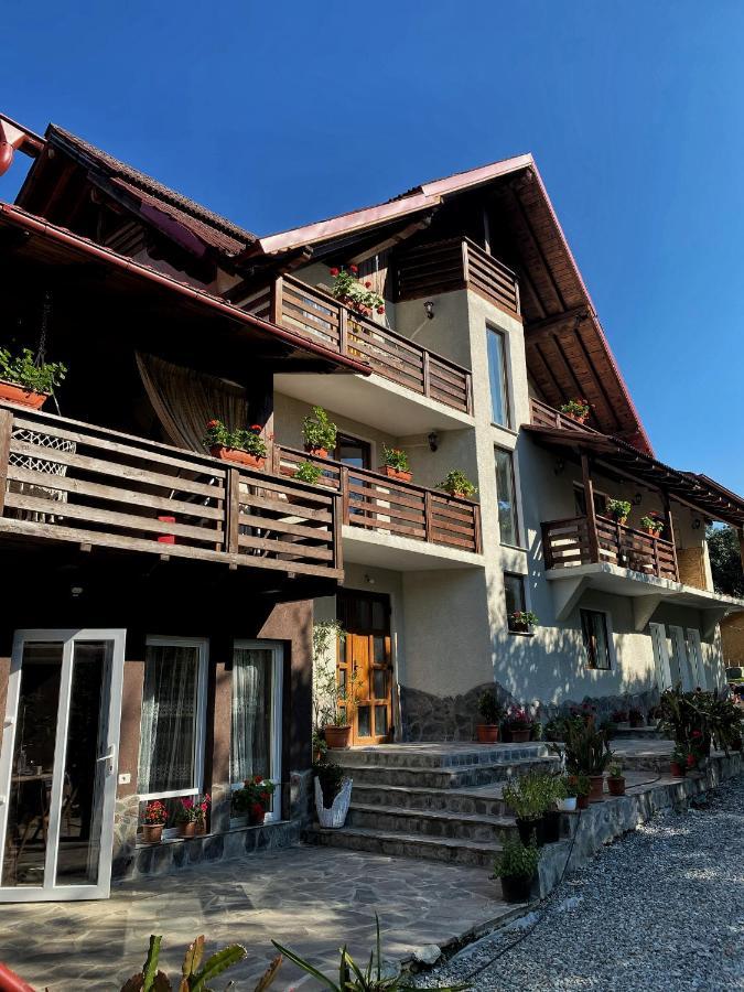 Vila Sorina Borşa المظهر الخارجي الصورة