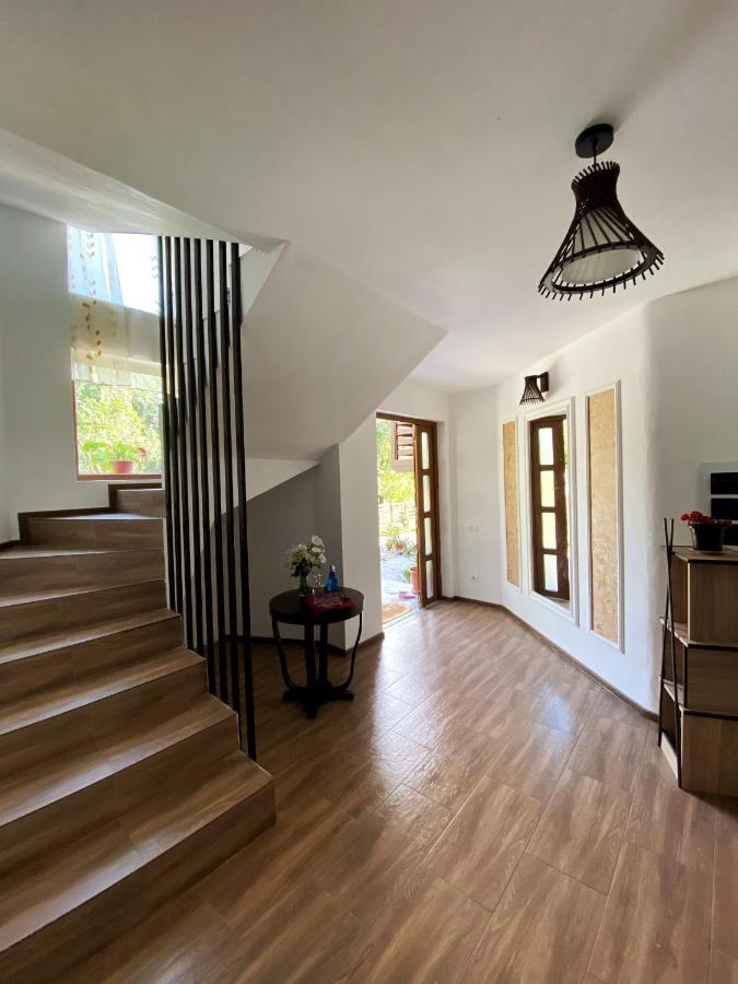 Vila Sorina Borşa المظهر الخارجي الصورة