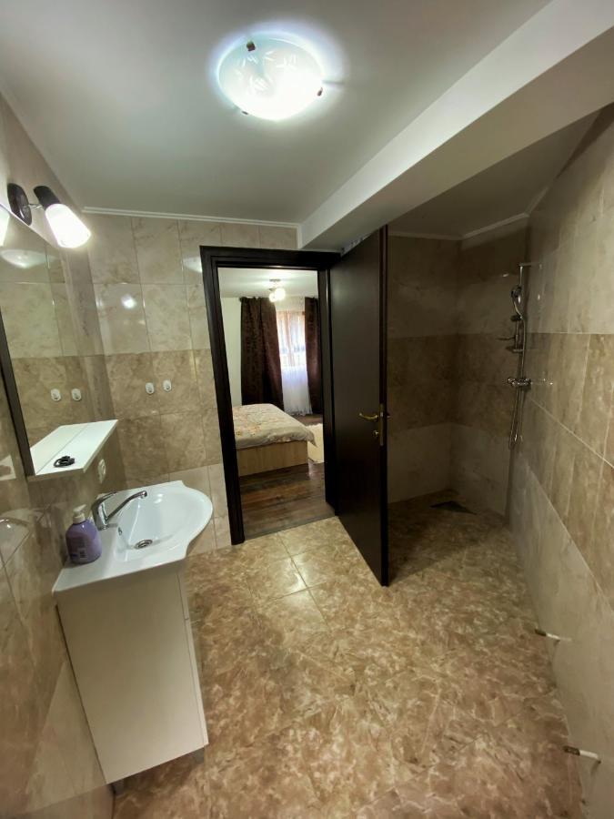 Vila Sorina Borşa المظهر الخارجي الصورة