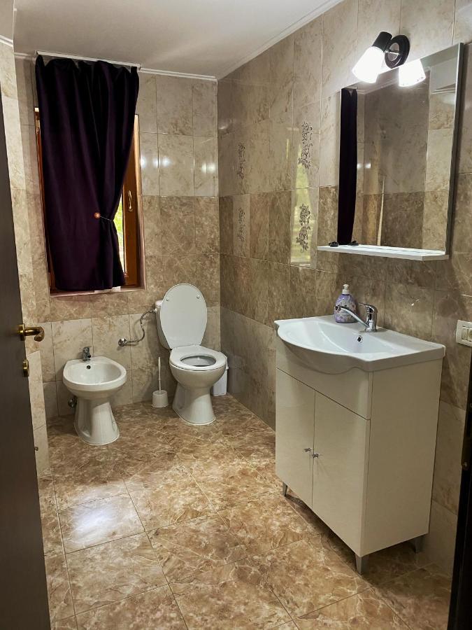 Vila Sorina Borşa المظهر الخارجي الصورة