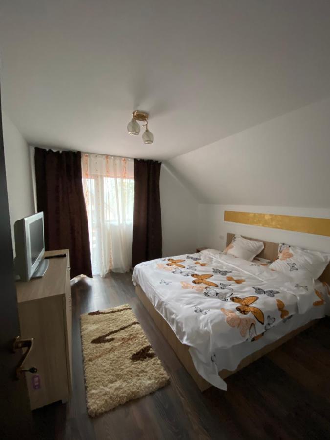 Vila Sorina Borşa المظهر الخارجي الصورة