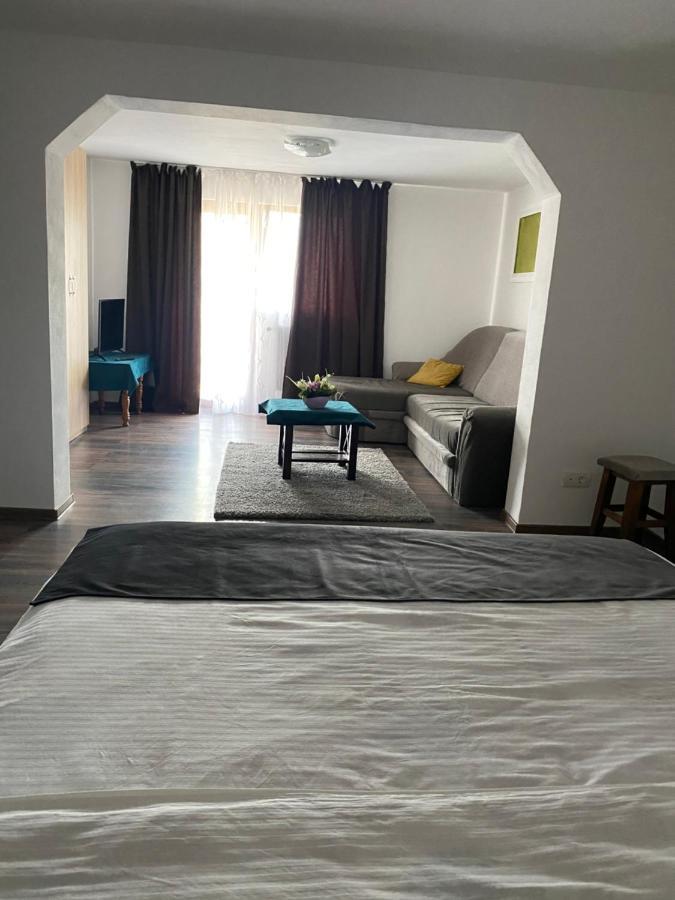 Vila Sorina Borşa المظهر الخارجي الصورة