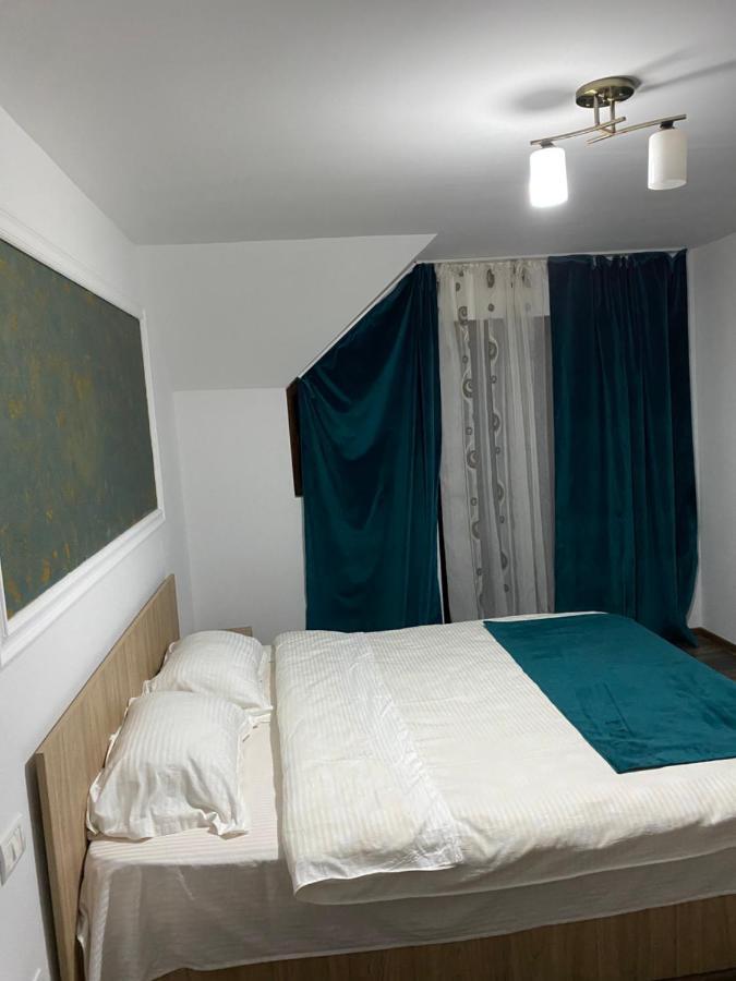 Vila Sorina Borşa المظهر الخارجي الصورة