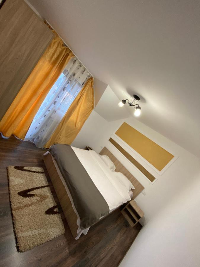 Vila Sorina Borşa المظهر الخارجي الصورة