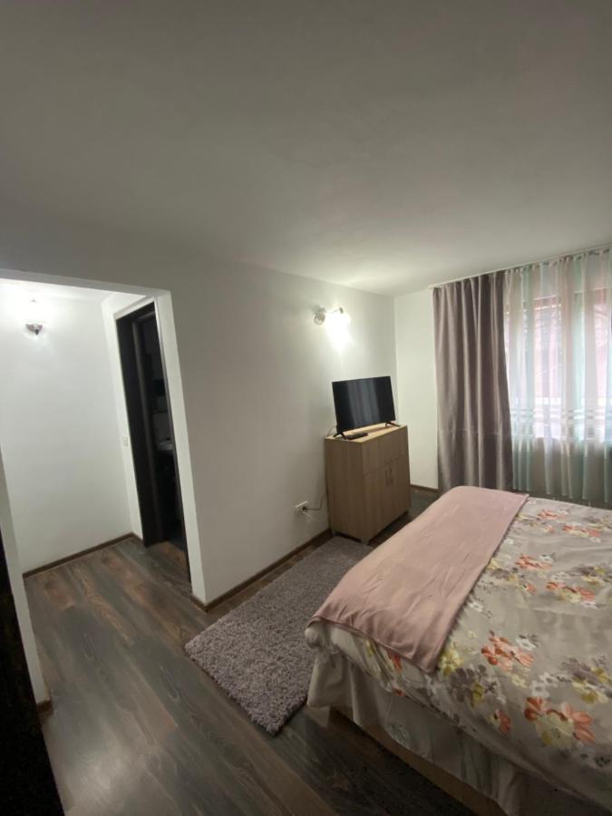Vila Sorina Borşa المظهر الخارجي الصورة