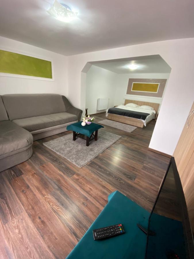 Vila Sorina Borşa المظهر الخارجي الصورة