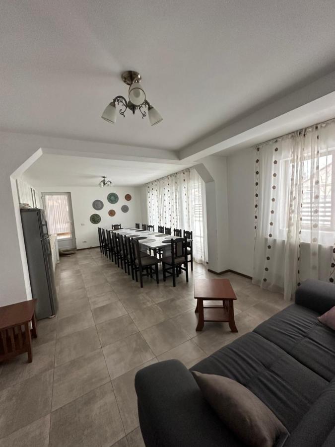 Vila Sorina Borşa المظهر الخارجي الصورة